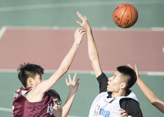 99视频九九精品视频在线观看